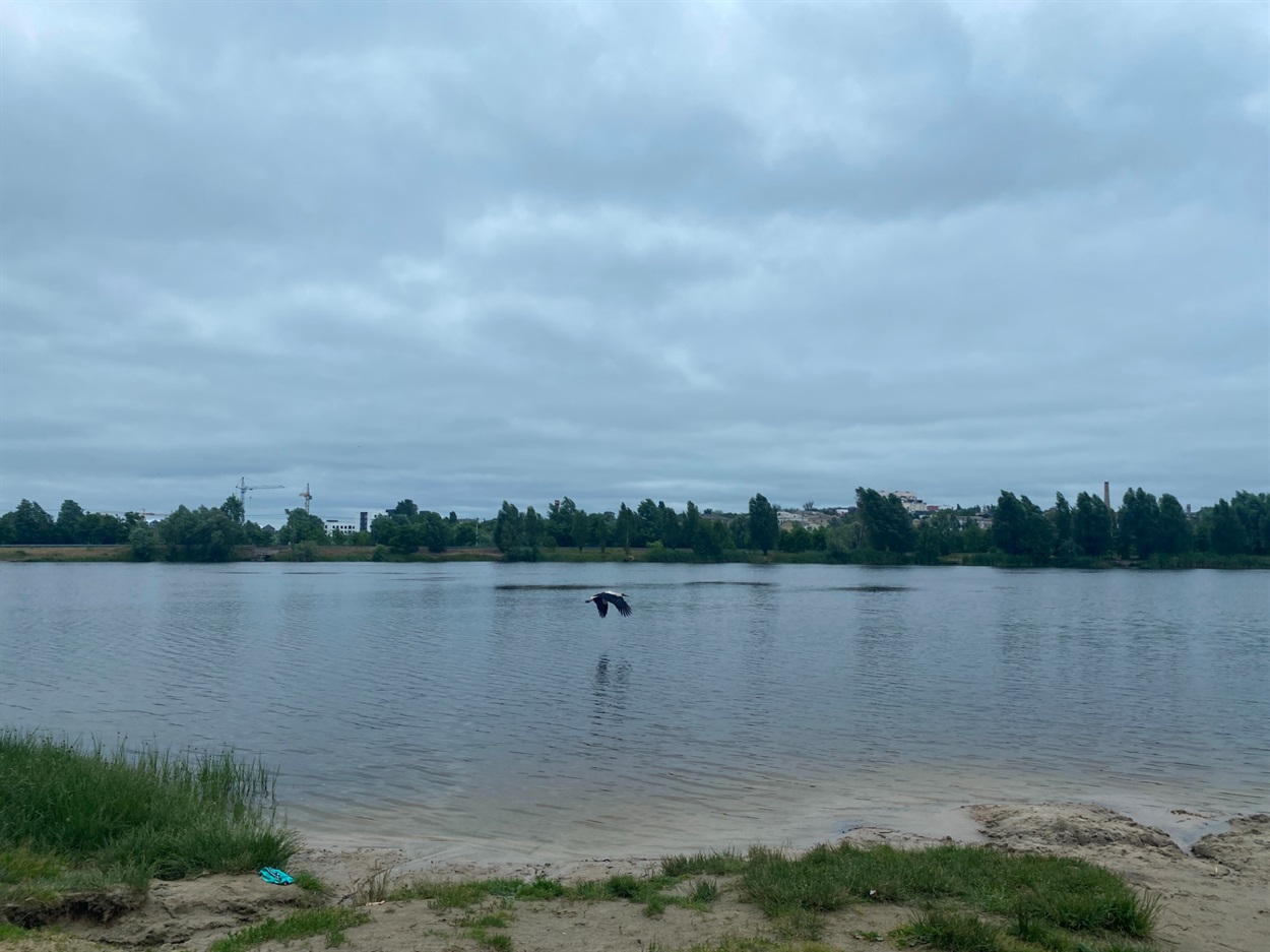 Бучанський міський парк