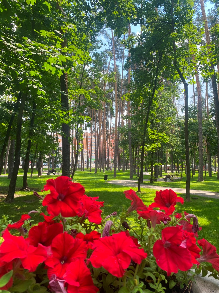 Центральний парк в Ірпені