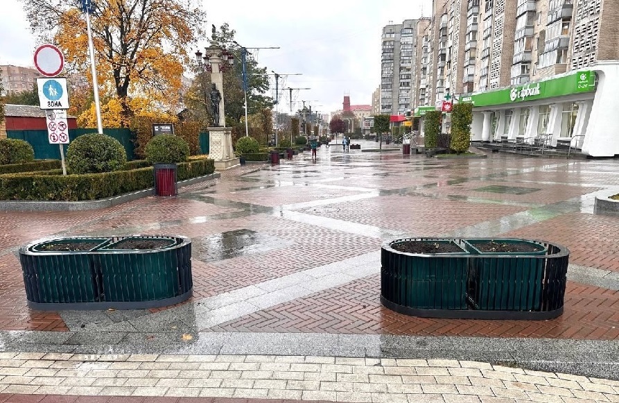 Нічні злодії обнесли клумби в центрі Ірпеня