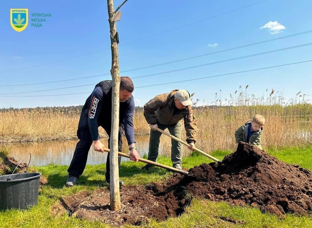 Дерева символізують життя міста після окупації та минулорічних боїв
