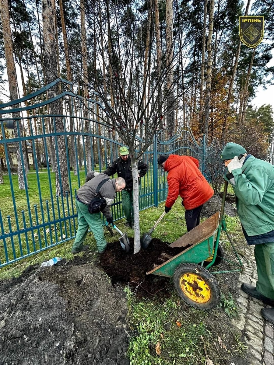 Висадка слив "Піссарді" з Центральної площі Ірпеня
