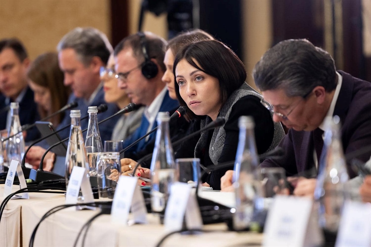 Уляна Пчолкіна на засіданні Ради безбар’єрності 