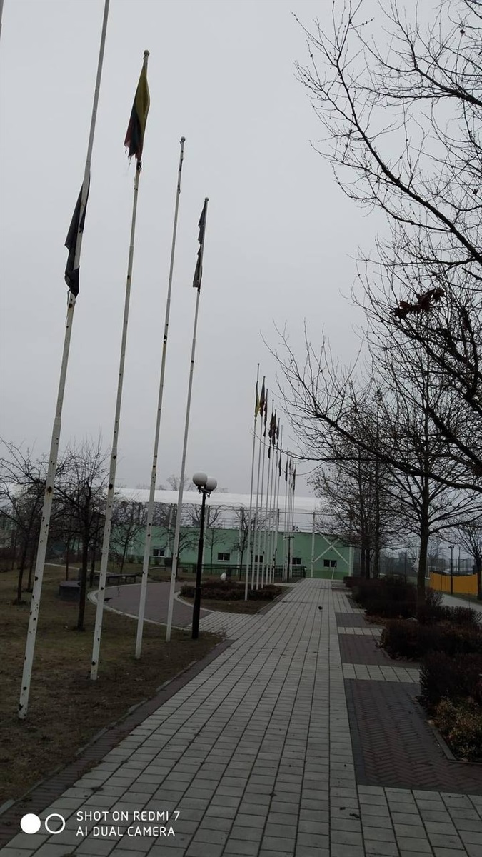 Подрані прапорці