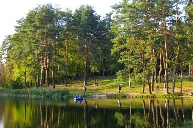 Біличанський ліс