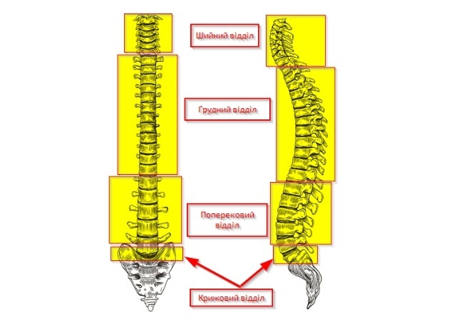 https://cerebrum-clinic.com/mrt-if/hrebta-spini/popereku/