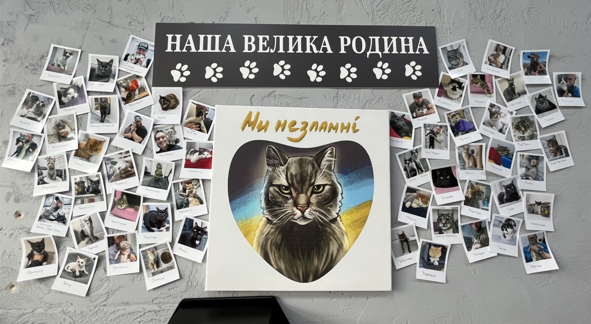 Бородата котомамуся